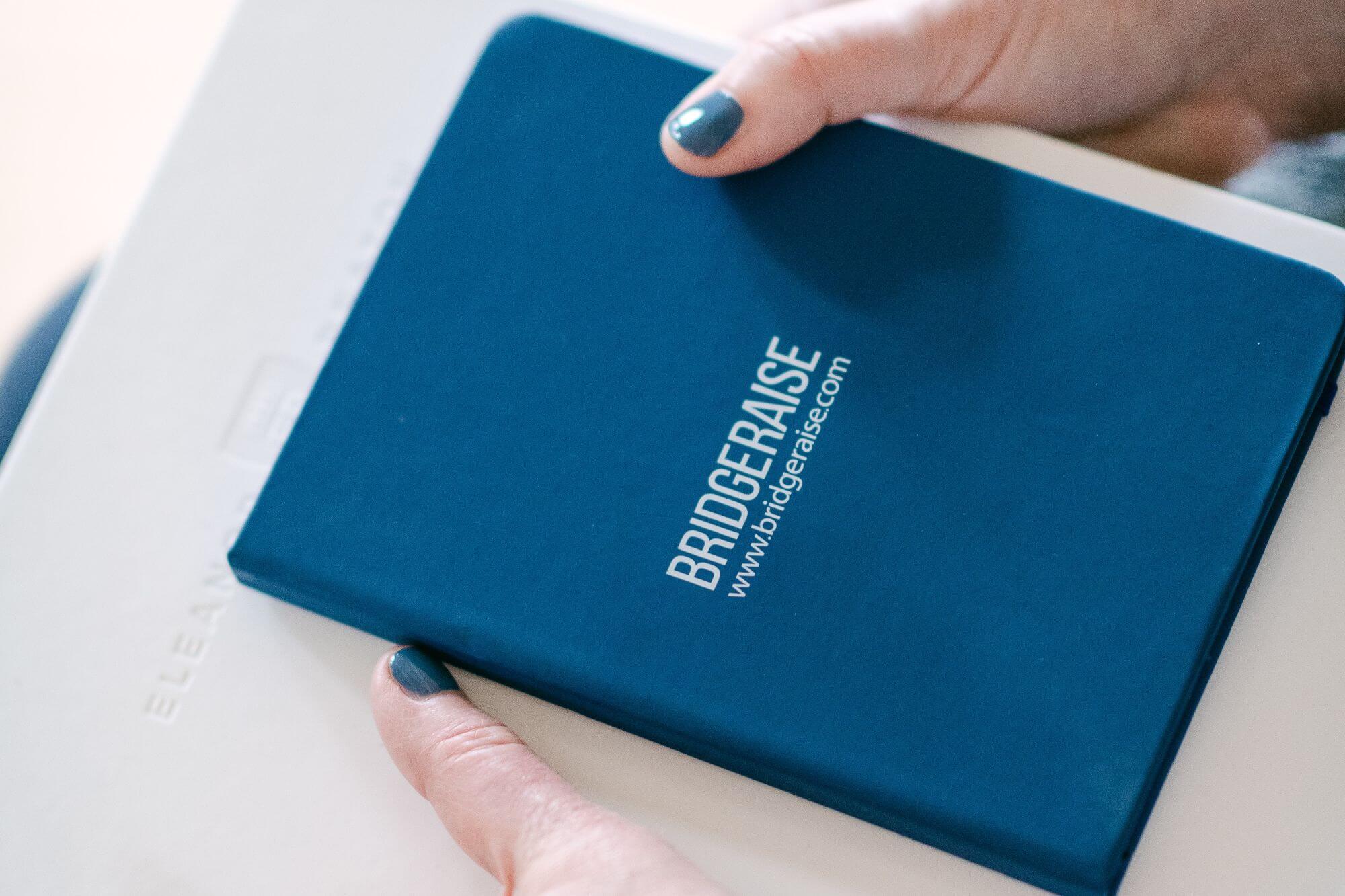 Bridgeraise guidebook