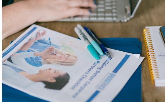 Bridgeraise guidebook